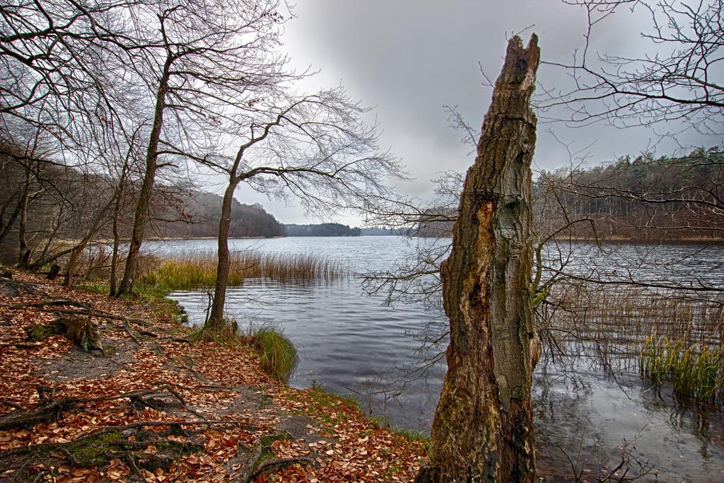 Hotel Am Liepnitzsee Wandlitz Kültér fotó