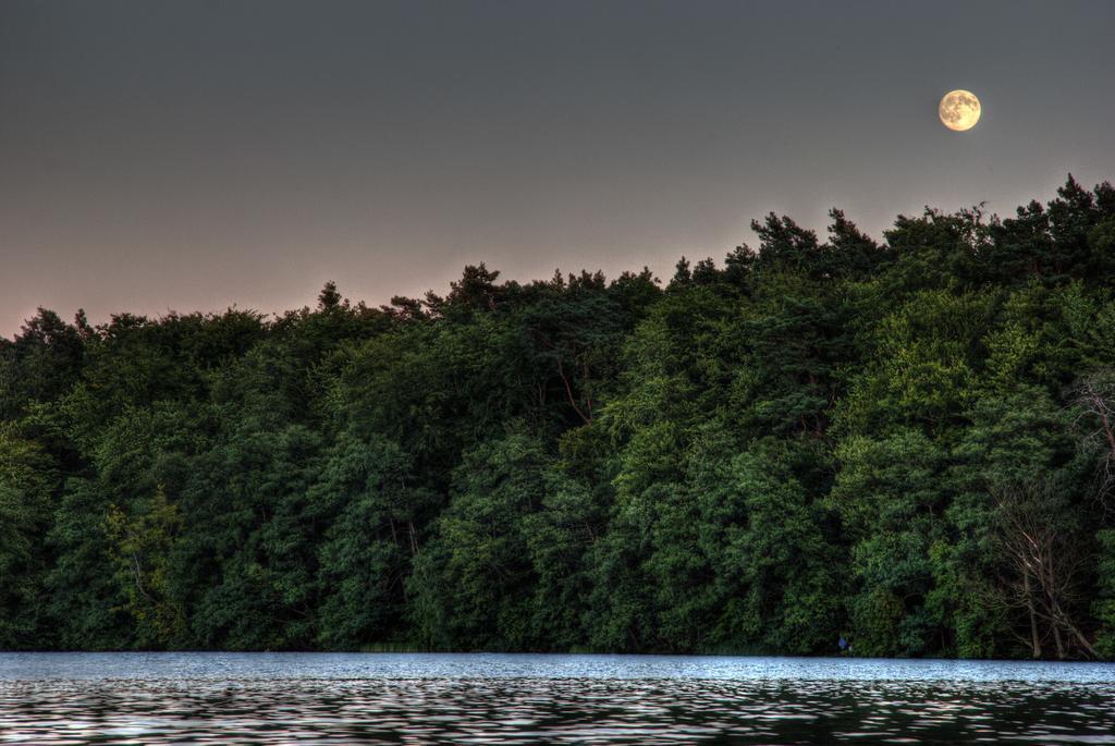 Hotel Am Liepnitzsee Wandlitz Kültér fotó