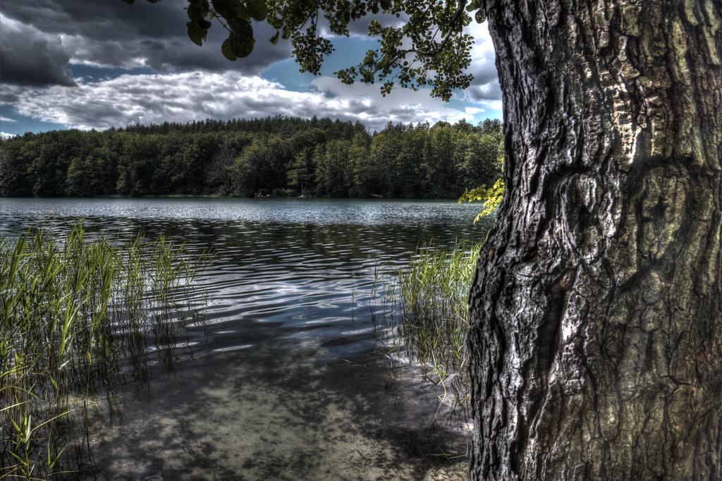 Hotel Am Liepnitzsee Wandlitz Kültér fotó